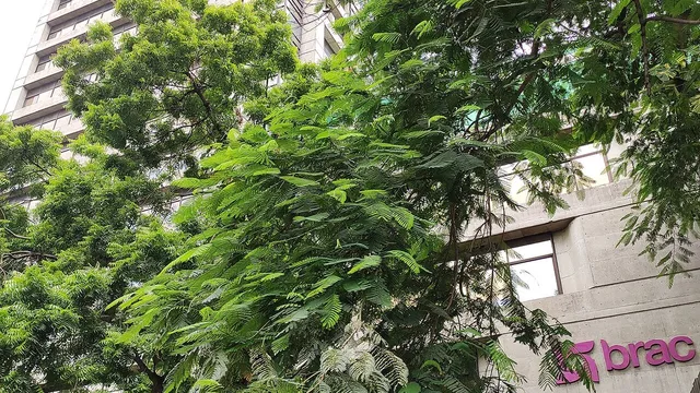 ঢাকার মহাখালীতে ব্র্যাকের প্রধান কার্যালয় ব্র্যাক সেন্টার